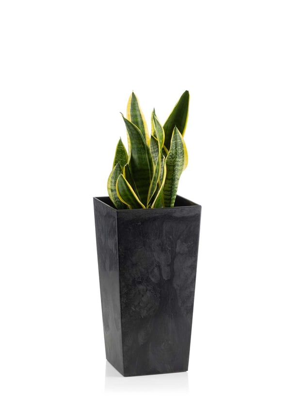 Porto sort betonblomkruka h46x25x25 cm