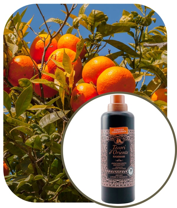 Tesori huuhtelutiiviste 760ml Hammam