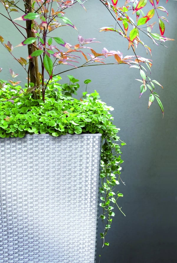 RATO DRTS300 Hög blomkruka med insats | Vit