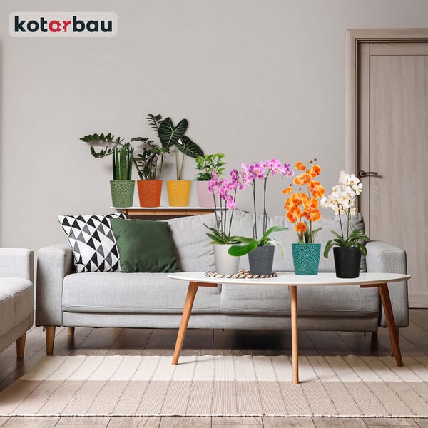 KOTARBAU® set med svarta blomkrukor 11 cm och rosa stöd 58 cm keramik