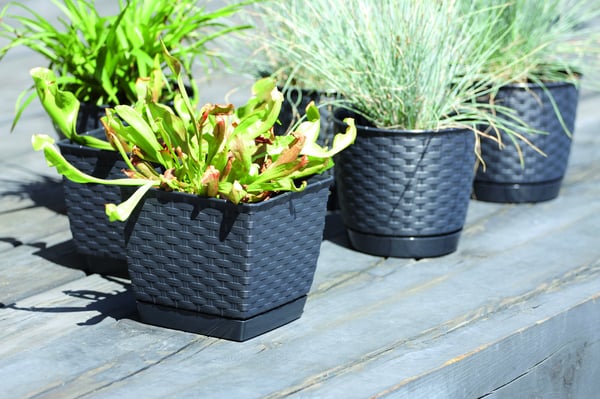 RATOLLA DRLO300 rund blomkruka med fat | Umbra