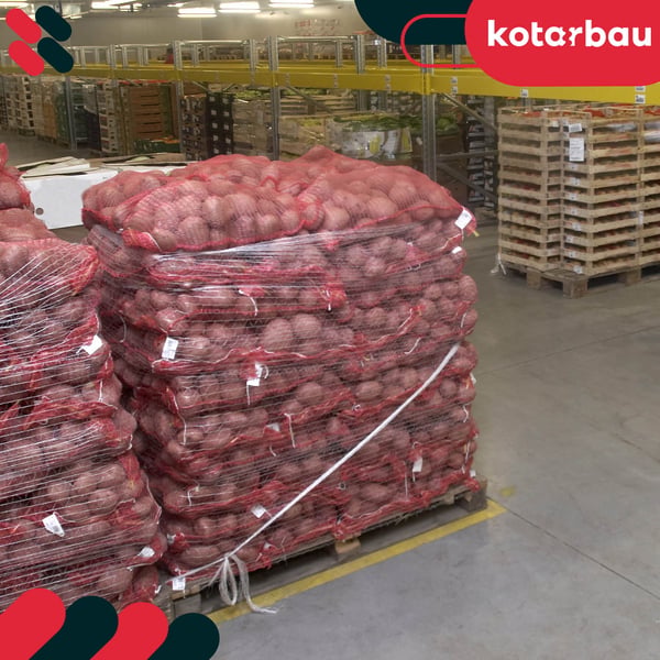 KOTARBAU handpallnät andningsbart elastiskt blommor grönsaker frukt trä 50 cm 500 MB