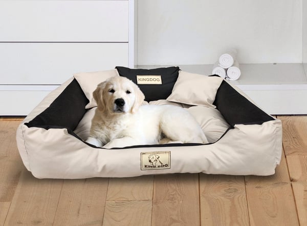 Koirankoppi sänky KINGDOG 100x75 cm mukautettu vedenpitävä beige
