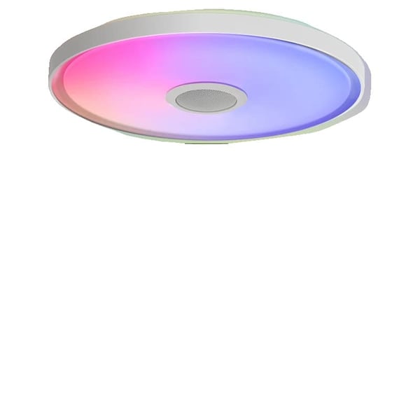 Loftlampe, Integreret Højttaler, Smart Kontrol,220V, 46cm(18tommer)