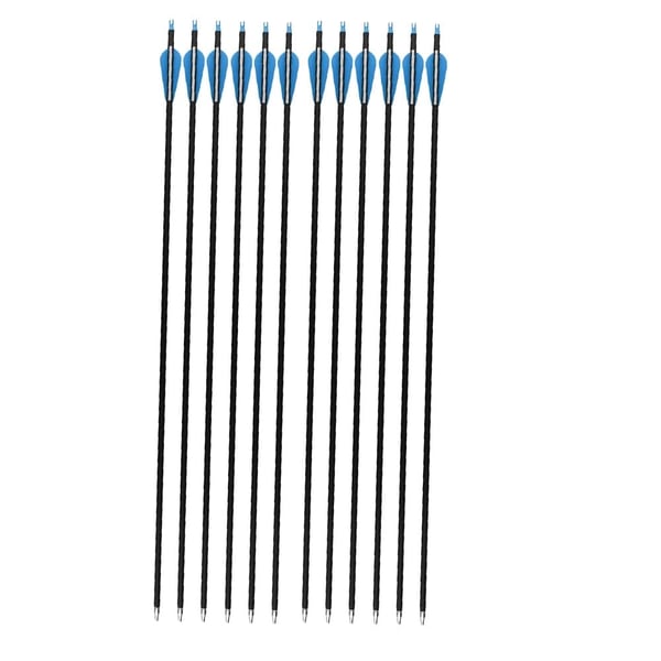 Kulstofpile, 80 cm længde, udskiftelige pilespidser,12stk-a