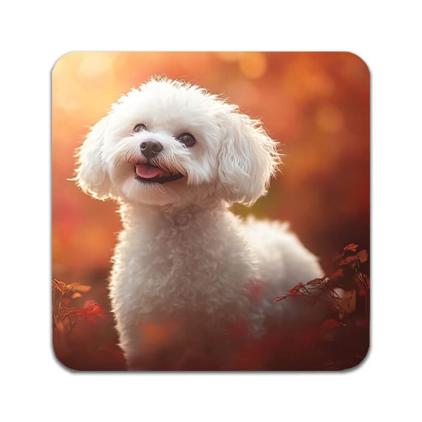 Glassunderlag (4-pakning): Hunde Bichon Frise, stilrene underlag med unike og livlige motiver