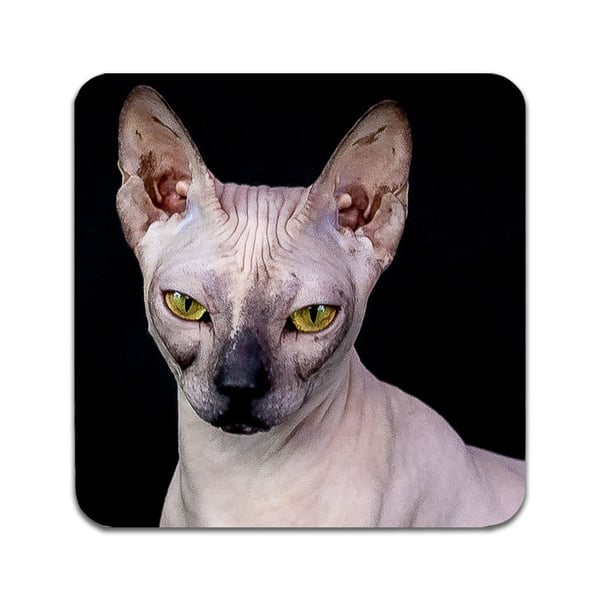 Lasinaluset (2 kpl): Sphynx Cat, tyylikkäät aluset uniikeilla ja eloisilla kuvioilla