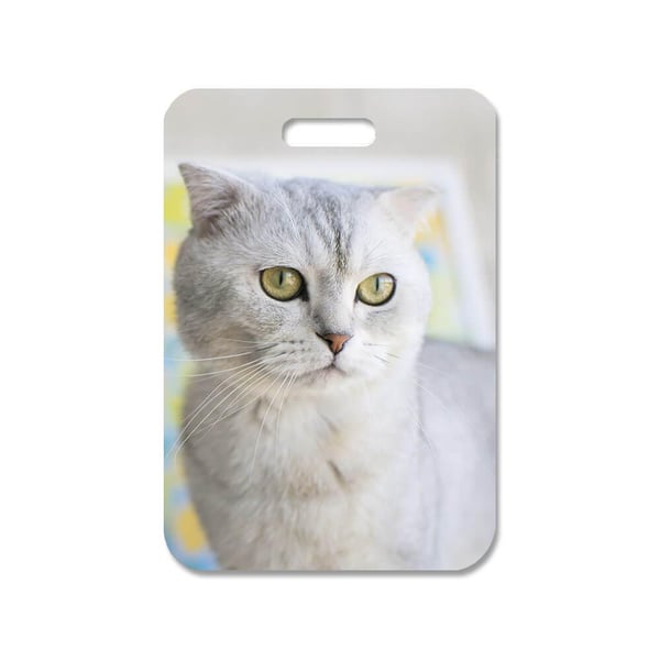 Laukun koristekoru: Scottish Fold Cat, tyylikäs riipus eloisalla ja uniikilla kuviolla, täydellinen käsilaukkuun tai reppuun