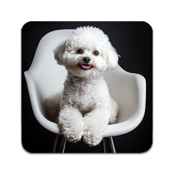Glassunderlag (2-pakning): Hunde Bichon Frise, stilrene underlag med unike og livlige motiver