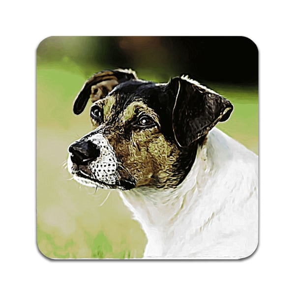 Lasinaluset (2 kpl): Danish-Swedish Farmdog, tyylikkäät aluset uniikeilla ja eloisilla kuvioilla