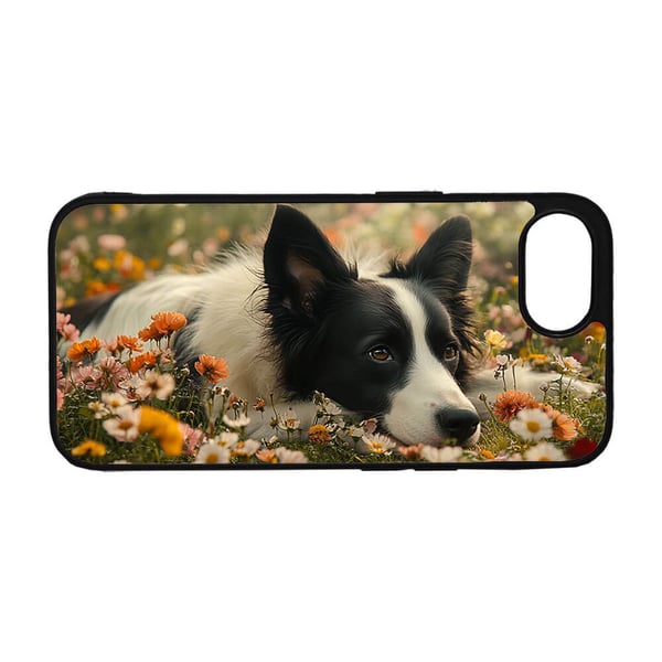 Hund Border Collie iPhone SE 5G Mobiltelefon Deksel