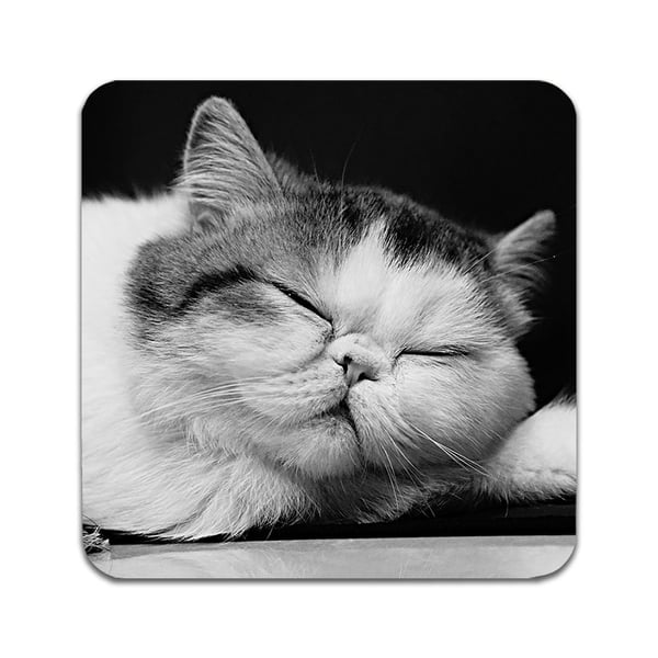 Lasinaluset (2 kpl): Exotic Shorthair Cat, tyylikkäät aluset uniikeilla ja eloisilla kuvioilla