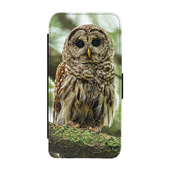 Til Samsung Galaxy S9: Owl, flipdeksel med unikt motiv, mobiletui med stativfunksjon