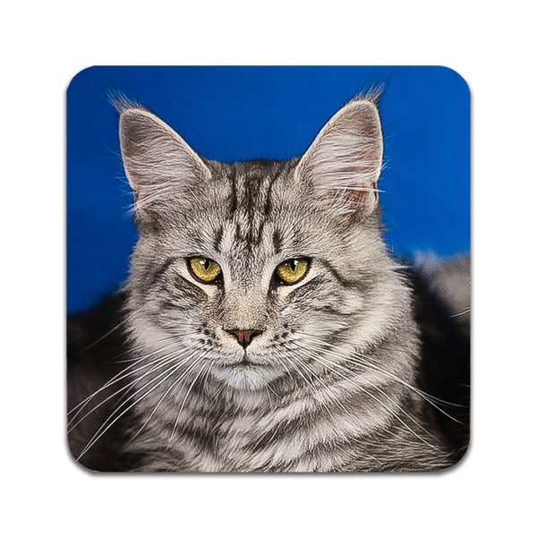 Glassunderlag (2-pakning): Katt Maine Coon, stilrene underlag med unike og livlige motiver