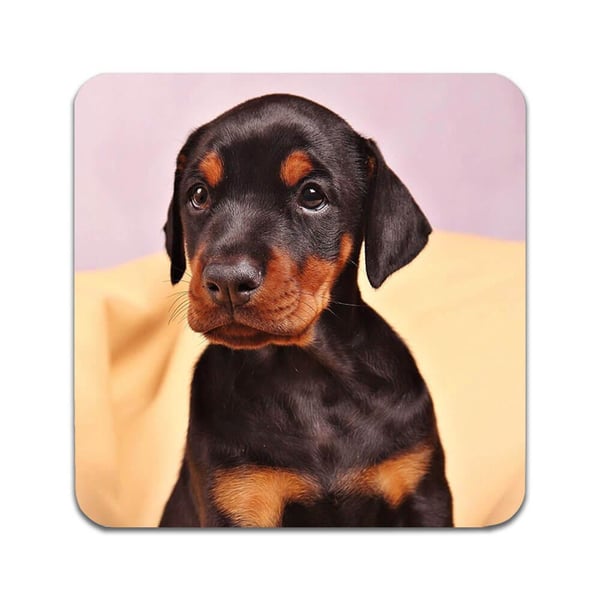 Glassunderlag (2-pakning): Hund Dobermann, stilrene underlag med unike og livlige motiver