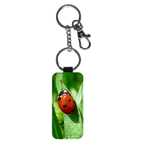 Avaimenperä: Ladybug -Lady Beetle, tyylikäs riipus, jossa on eloisa ja uniikki kuvio
