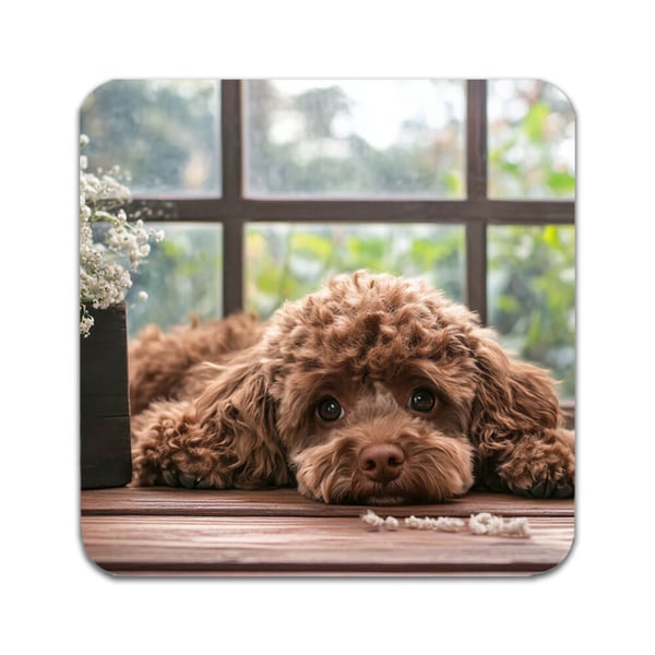 Glassunderlag (2-pakning): Hund Puddel, stilrene underlag med unike og livlige motiver