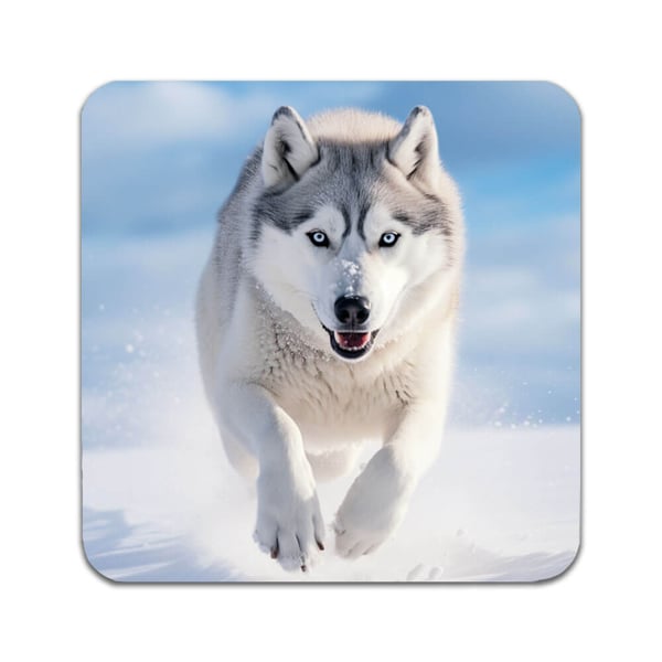 Glassunderlag (2-pakning): Hund Siberian Husky, stilrene underlag med unike og livlige motiver