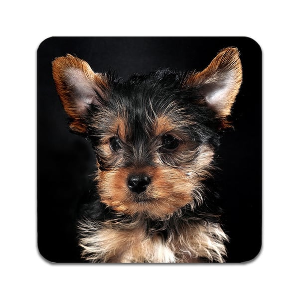 Glassunderlag (2-pakning): Hund Yorkshireterrier, stilrene underlag med unike og livlige motiver
