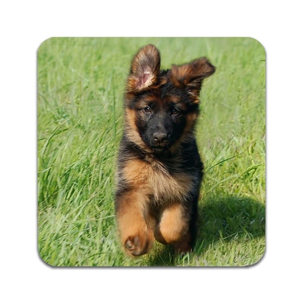 Lasinaluset (2 kpl): German Shepherd Puppies, tyylikkäät aluset uniikeilla ja eloisilla kuvioilla