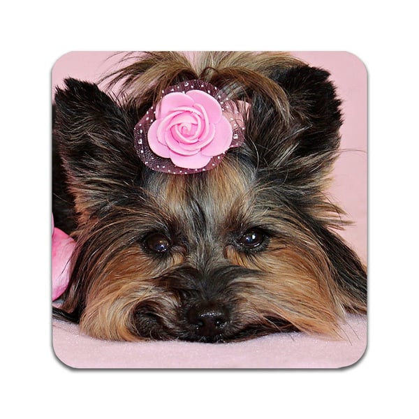 Lasinaluset (2 kpl): Yorkshire Terrier Dog, tyylikkäät aluset uniikeilla ja eloisilla kuvioilla