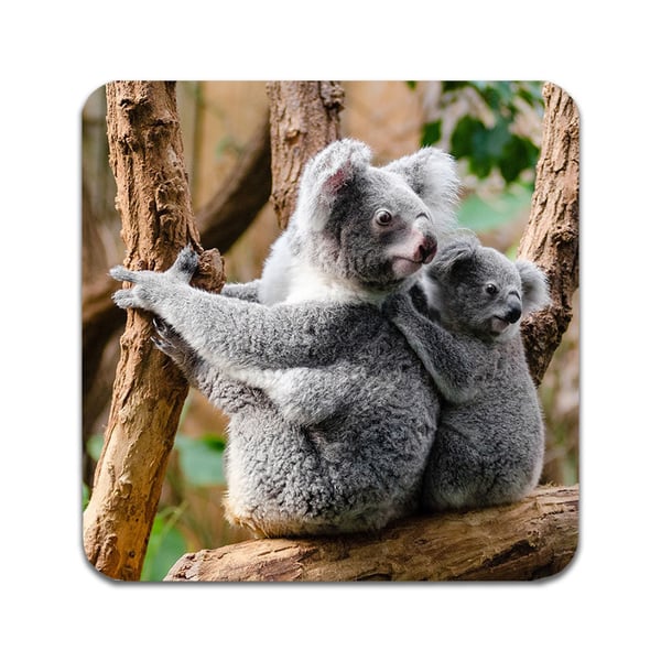 Glassunderlag (2-pakning): Koala, stilrene underlag med unike og livlige motiver