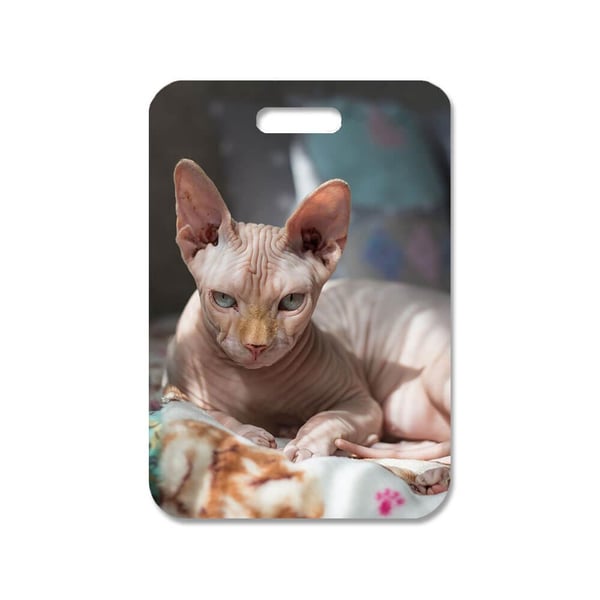 Taskevedhæng: Katt Sphynx, stilrent taskepynt med levende og unikt design, perfekt til håndtasken eller rygsækken