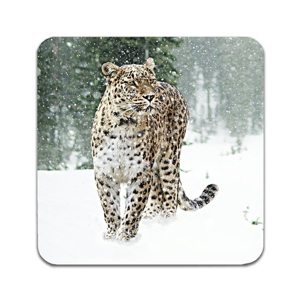 Glassunderlag (2-pakning): Leopard, stilrene underlag med unike og livlige motiver