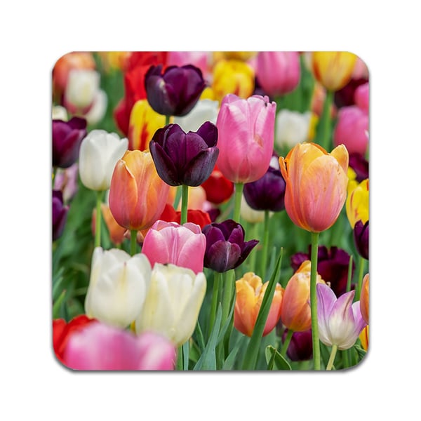 Glassunderlag (2-pakning): Blommor Tulpaner, stilrene underlag med unike og livlige motiver