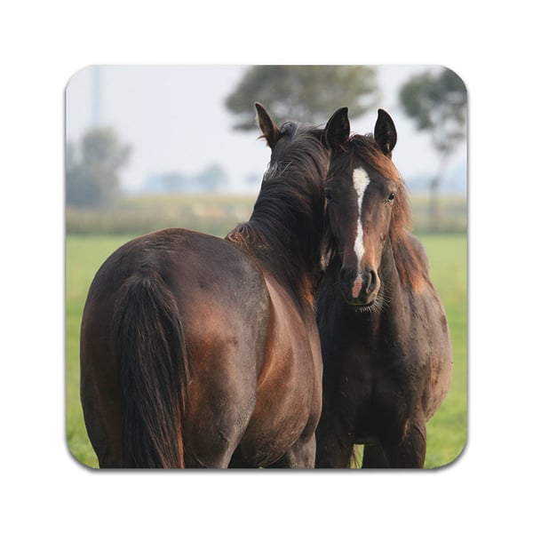 Glasbrikker (2-pak): Brown Horses, stilrene bordskånere med unikke og levende motiver