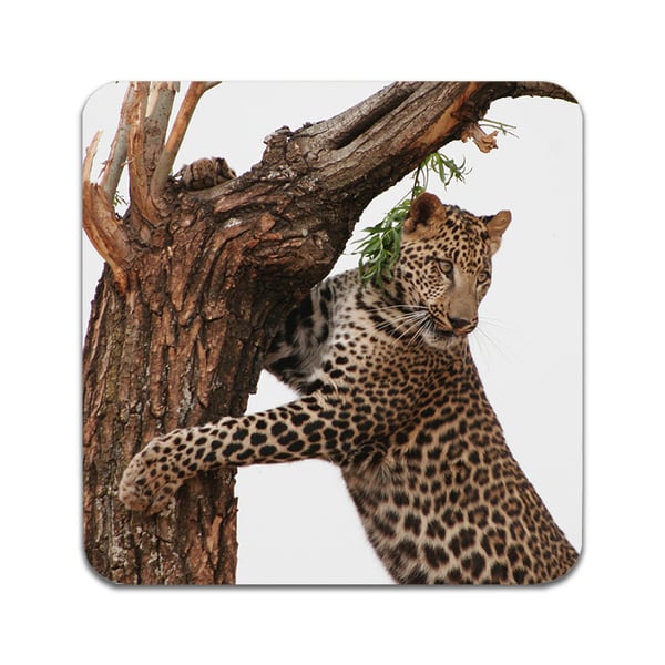Lasinaluset (2 kpl): Leopard, tyylikkäät aluset uniikeilla ja eloisilla kuvioilla