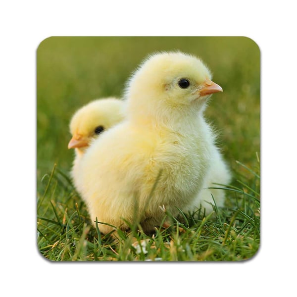 Glasbrikker (2-pak): Chicken, stilrene bordskånere med unikke og levende motiver