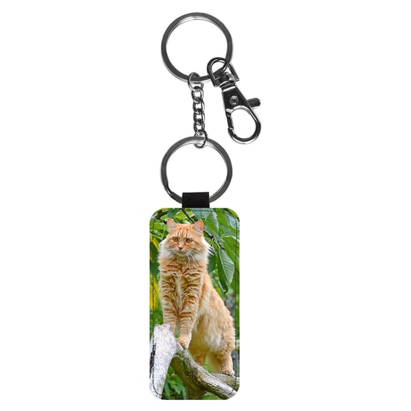 Nyckelring: Katt Maine Coon, stilrent hängsmycke med livfull och unikt design