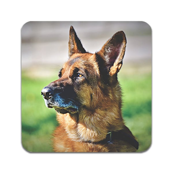 Lasinaluset (2 kpl): German Shepherd Dogs, tyylikkäät aluset uniikeilla ja eloisilla kuvioilla