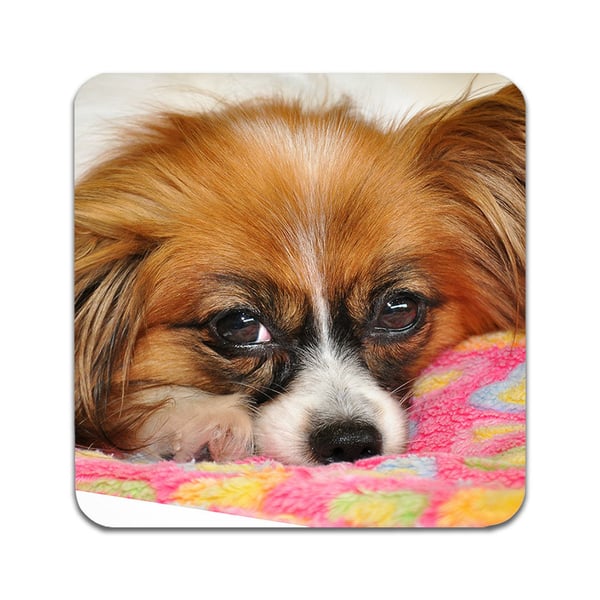 Glassunderlag (2-pakning): Hund Papillon, stilrene underlag med unike og livlige motiver