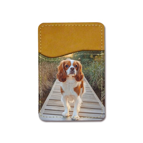 Självhäftande korthållare till mobil (Universell): Hund Cavalier King Charles Spaniel, kortfack med livfull och unikt design till telefon