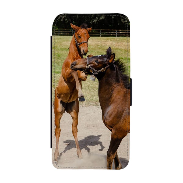 Til Samsung Galaxy S8: Mare and Foal, flipdeksel med unikt motiv, mobiletui med stativfunksjon
