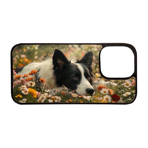 Koiran Bordercollie iPhone 12/iPhone 12 Pro Matkapuhelimen Kansi