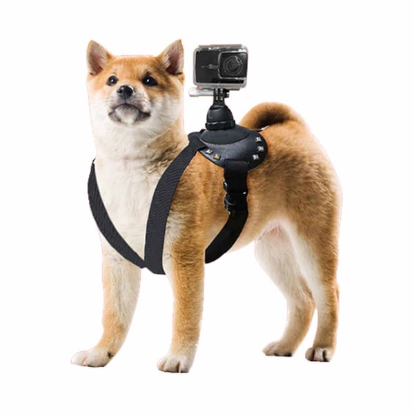 GoPro Hundsele Bröstbälte för Hund Väst POV Mount Actionkamera