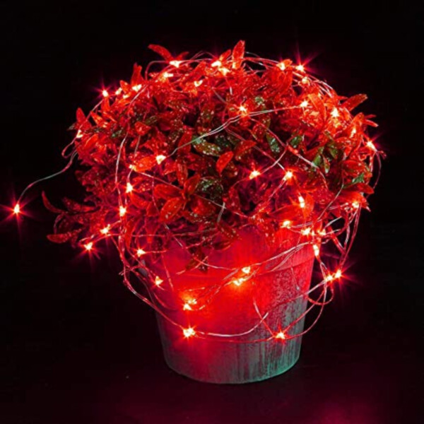 2-Pack 1m Mini LED Light Loop Battery-Powered Red Red
