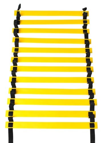 Harjoitteluportaat