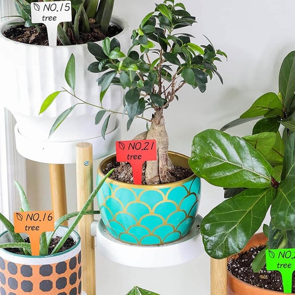 50 plantemærker | Planteskilte til markering af planter