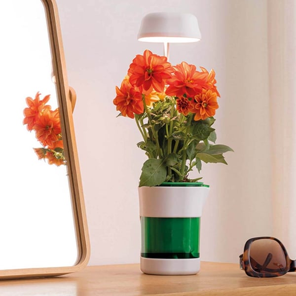 LED-plantelampe med selvvanningspotte - Fullspektret plantebelysning
