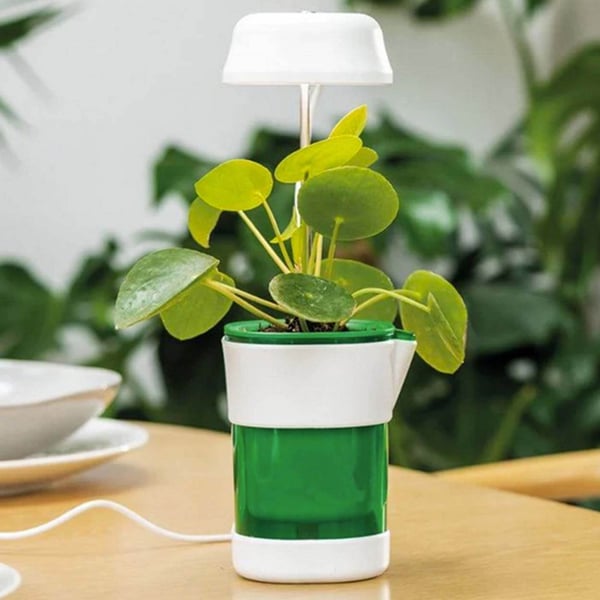 LED-plantelampe med selvvanningspotte - Fullspektret plantebelysning