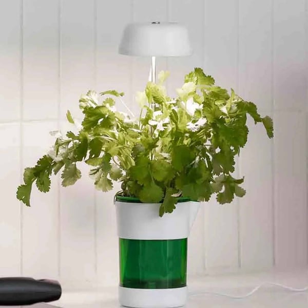 LED-plantelampe med selvvanningspotte - Fullspektret plantebelysning