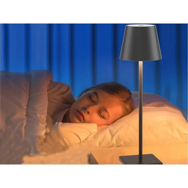 Portabel Bordlampe Touch Trådløs med 3 Lysnivåer USB-C Oppladbar Sølv