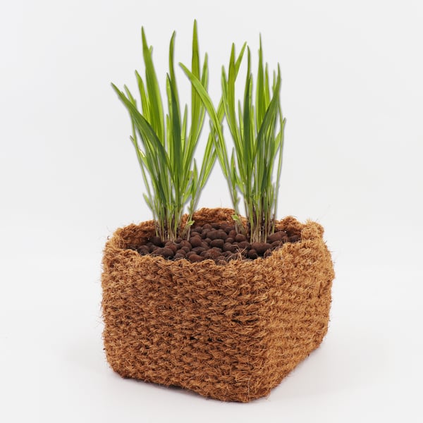 8 kokosplantkorg 20 x 20 x 15 cm dammkorg för dammmatta och sluttningsmatta
