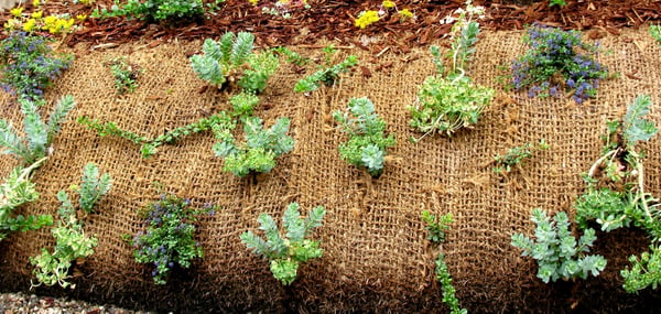 20 m sluttningsmatta Kokos 1 m bred Dammfolie Kokosfibermatta 750 g