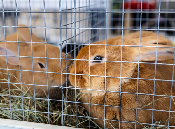 25 m x 1 m Voljärtråd Trådnät Svetsnät Trådnät Trådstängsel