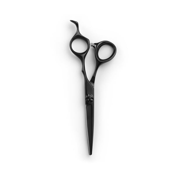 Shorai Sc 6.0 Black - Frisörsax